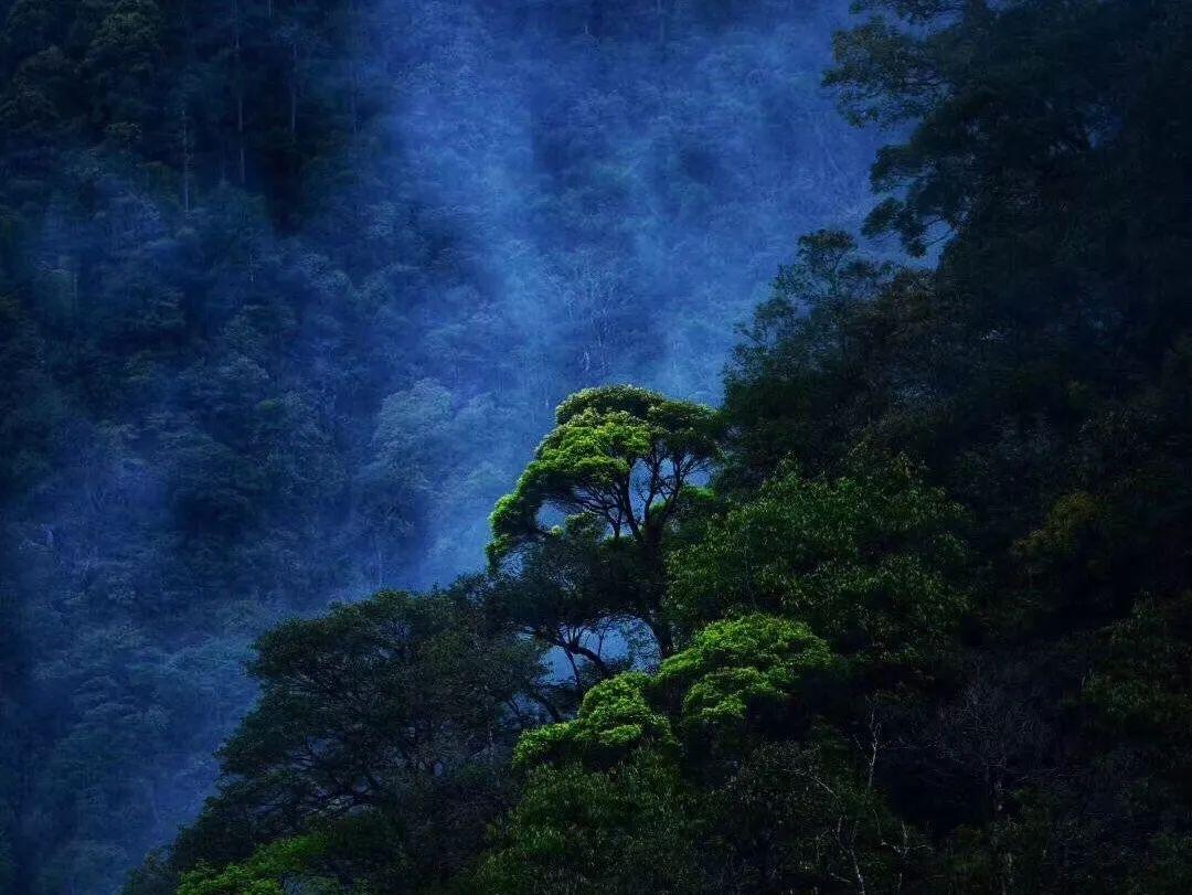 快算数学题