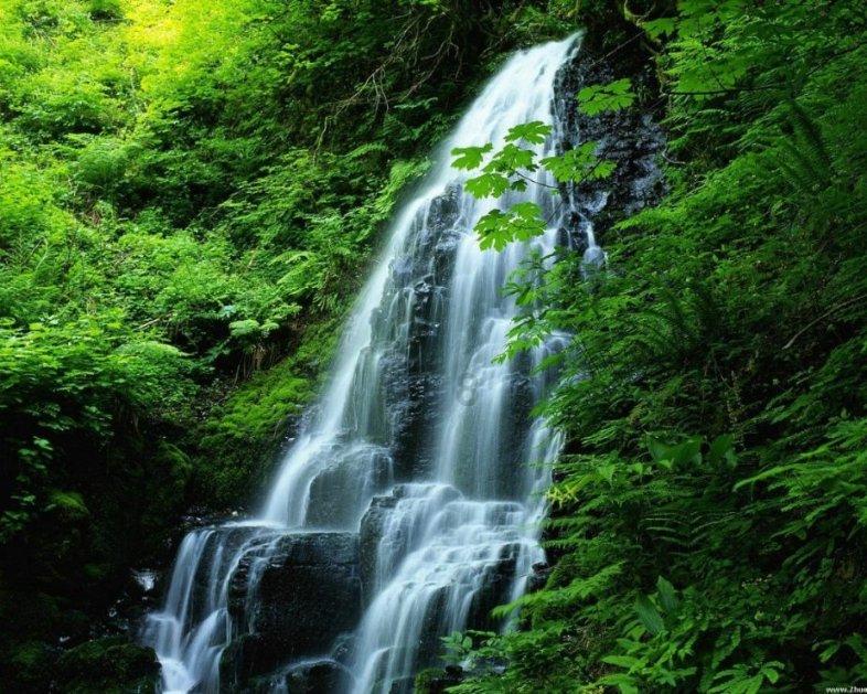 八款食物来祛湿化痰，为您健康保驾护航