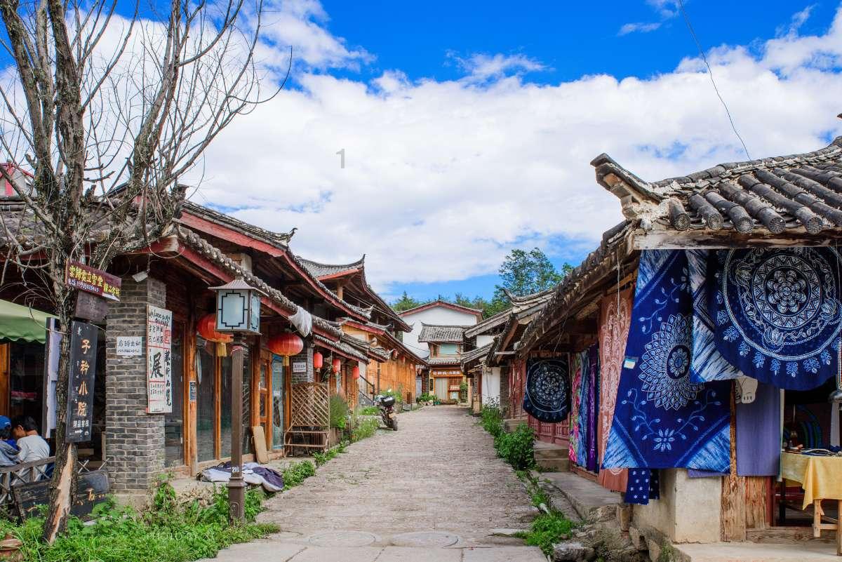 逃离大犀牛出没地